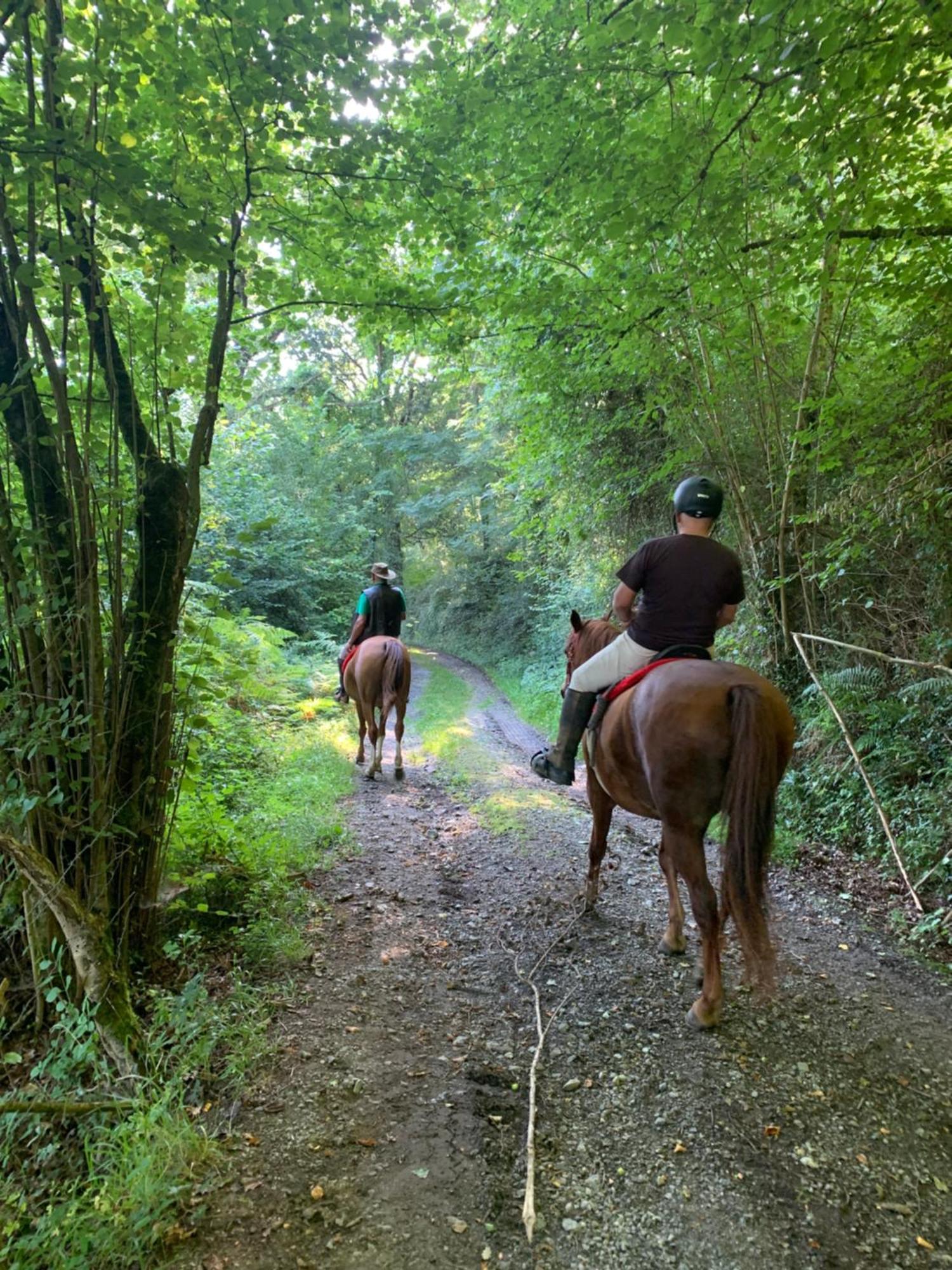 Agroturismo Gure Naia Carranza Εξωτερικό φωτογραφία